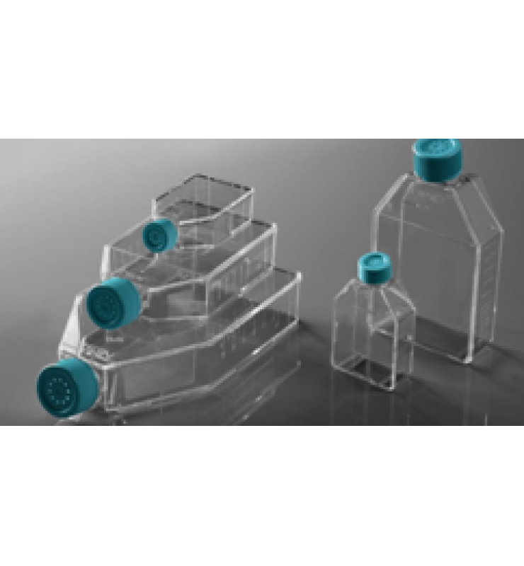 ϸ�����ƿ Cell Culture Flasks